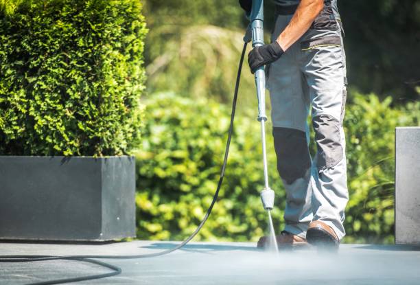 Best House Exterior Washing  in Colwich, KS